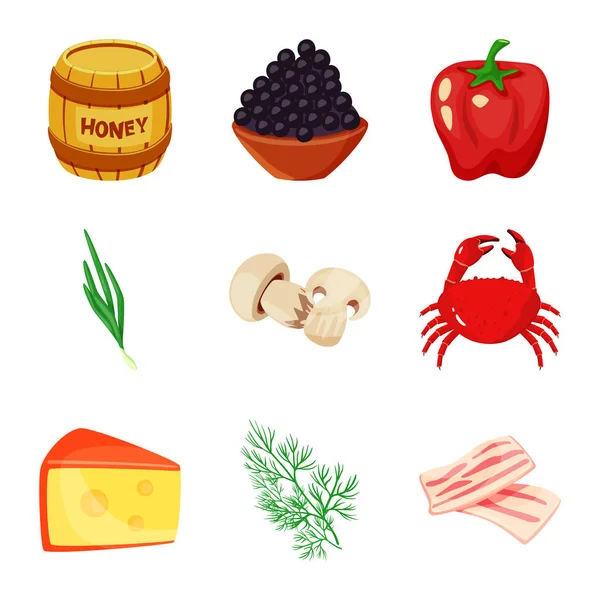 Vector illustratie van voedsel en smaken pictogram. Collectie van voedsel en ingrediënt voorraad symbool voor web. — Stockvector