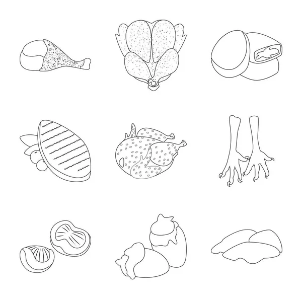 Objeto aislado de alimento y logotipo a la parrilla. Colección de alimentos y aves vector de stock ilustración . — Vector de stock