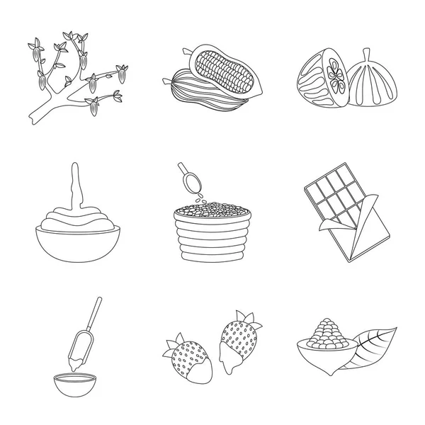 Isolerade objekt av kakao och bönor-logotypen. Samling av kakao och sötma lager vektorillustration. — Stock vektor