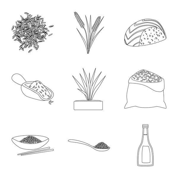 Izolovaný předmět stravy a logo vaření. Ukázka dietního a organického akciového vektoru. — Stockový vektor