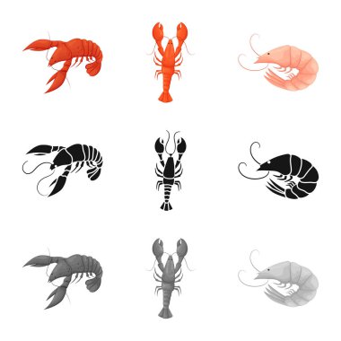 Meze ve okyanus logo vektör tasarımı. Meze ve incelik hisse senedi vektör çizim topluluğu.