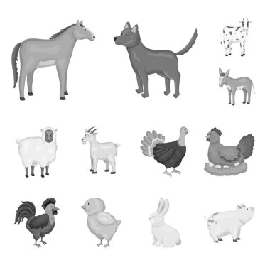 Homestead ve Tarım logosu vektör Illustration. Web için Homestead ve mutfak stok sembolü koleksiyonu.