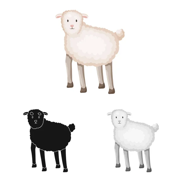Conception vectorielle de moutons et anima icône. Collecte d'illustrations vectorielles de moutons et d'agneaux . — Image vectorielle