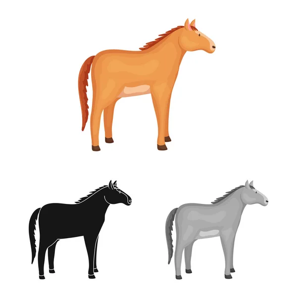 말과 동물 기호의 벡터 디자인입니다. 주식에 대한 말과 사육 벡터 아이콘의 컬렉션. — 스톡 벡터