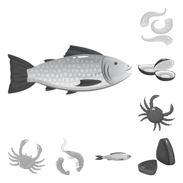 Diseño vectorial de mariscos y signos saludables. Conjunto de mariscos y vectores oceánicos icono para stock . — Vector de stock