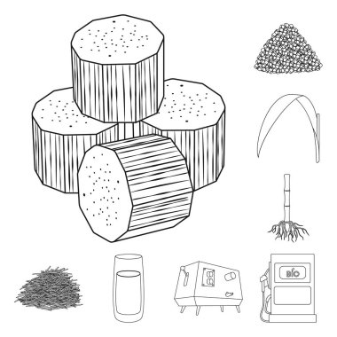 Şeker ve alan logo vektör Illustration. Şeker toplama ve hisse senedi için saç ekimi vektör simgesi.