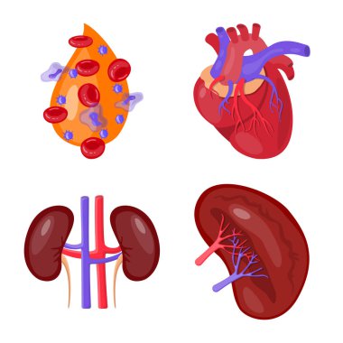 Anatomi ve organ simge vektör tasarımı. Anatomi ve web için tıbbi hisse senedi simgesi.