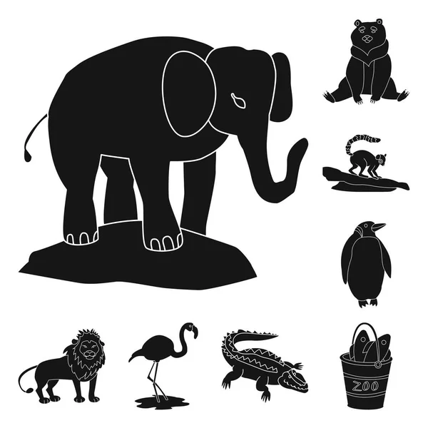 Ilustração vetorial da fauna e do símbolo de entretenimento. Coleção de fauna e parque estoque vetor ilustração . —  Vetores de Stock