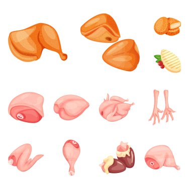 Et ve çiğ simge izole nesne. Et ve ızgara stok vektör illüstrasyon koleksiyonu.