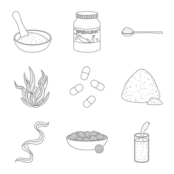 Projeto vetorial de comida e sinal vegan. Conjunto de alimentos e plantas daninhas ilustração vetorial . —  Vetores de Stock
