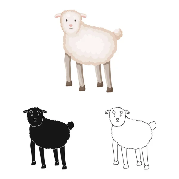 Conception vectorielle de moutons et anima icône. Collecte d'illustrations vectorielles de moutons et d'agneaux . — Image vectorielle