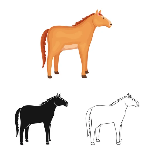 Ilustración vectorial de caballo y animal icono. Colección de caballos y ganado de cría símbolo para la web . — Vector de stock