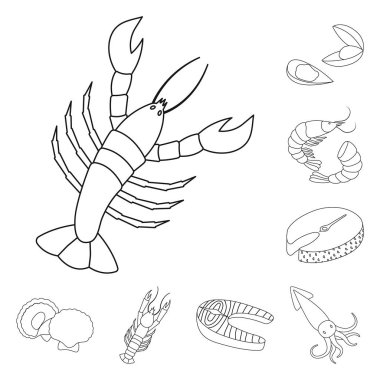 Gıda ve deniz simge vektör Illustration. Gıda ve hisse senedi için sağlıklı vektör simge kümesi.