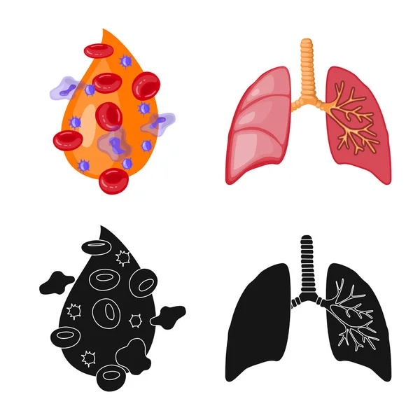 Ilustração vetorial da biologia e do logotipo científico. Conjunto de símbolos de estoque de biologia e laboratório para web . — Vetor de Stock