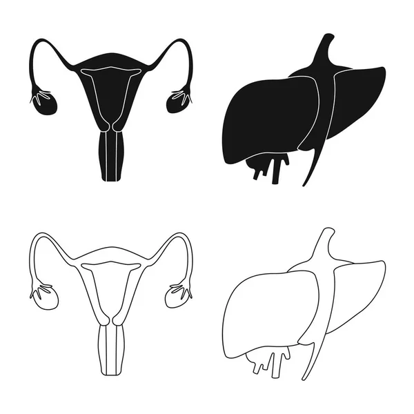 Geïsoleerde object van de biologie en wetenschappelijke symbool. Set van biologie en laboratorium vector pictogram voor voorraad. — Stockvector