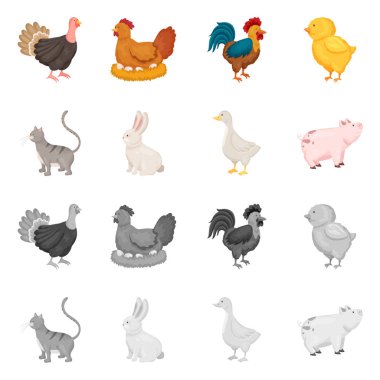 Üreme ve mutfak simge vektör Illustration. Koleksiyon ıslahının ve web için organik hisse senedi simgesi.