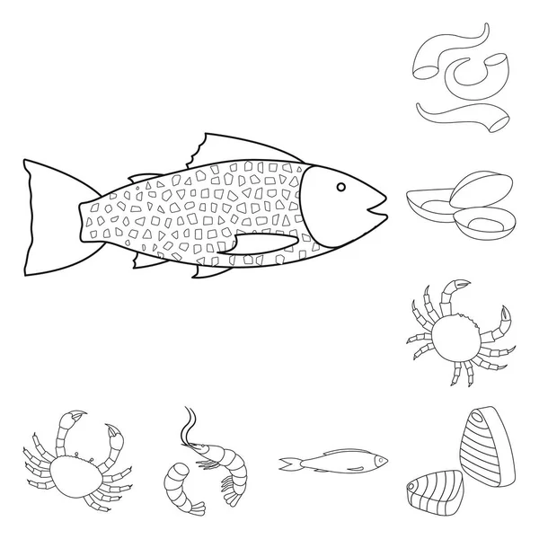 Projeto vetorial de comida e logotipo do mar. Coleta de alimentos e símbolo de estoque saudável para web . —  Vetores de Stock