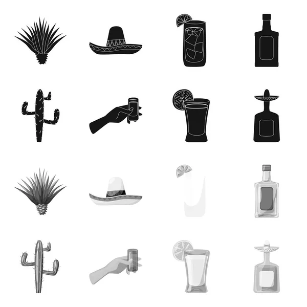Illustration vectorielle du café et symbole latin. Collection de café et symbole stock national pour le web . — Image vectorielle