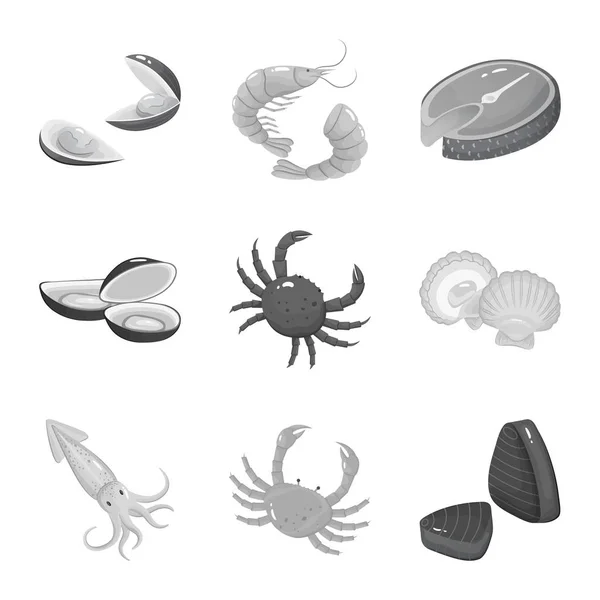Векторная иллюстрация морепродуктов и здорового логотипа. Коллекция морепродуктов и символ океанского запаса для интернета . — стоковый вектор