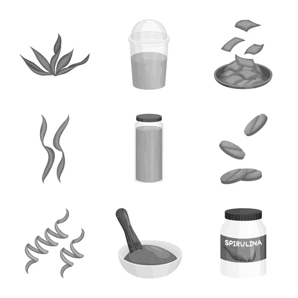 Απεικόνιση διάνυσμα του λογότυπου φυτών και ζιζανίων. Συλλογή του συμβόλου φυτικών και θαλάσσιων αποθεμάτων για το Web. — Διανυσματικό Αρχείο