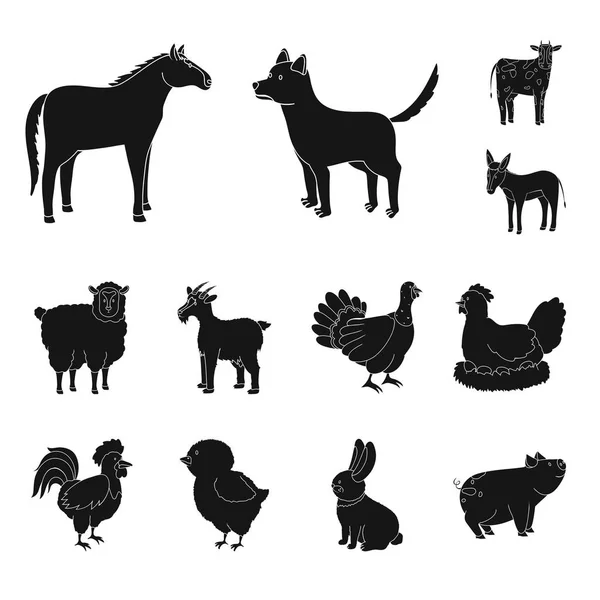 Design vettoriale del ranch e logo biologico. Set di icone del ranch e del vettore alimentare per le scorte . — Vettoriale Stock
