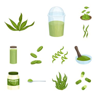 Spirulina ve yosun işareti vektör illüstrasyon. Spirulina ve vegan stok vektör illüstrasyon seti.