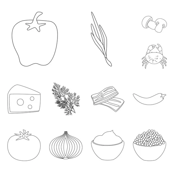 Illustrazione vettoriale della stagionina e del logo degli ingredienti. Set di icone vettoriali di stagionina e aroma per stock . — Vettoriale Stock