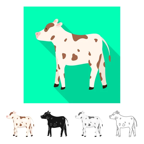 Ilustração vetorial do símbolo da vaca e da novilha. Conjunto de símbolo de estoque de vaca e leite para web . — Vetor de Stock