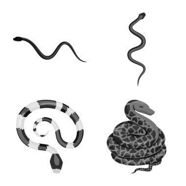 Yalıtılmış nesne zarar ve ısırık simgesi. Zarar ve sürüngen hisse senedi vektör çizim seti.