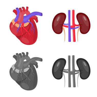 Biyoloji ve bilimsel işareti yalıtılmış nesne. Hisse senedi için biyoloji ve laboratuvar vektör simge topluluğu.