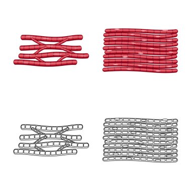 Lif ve kas simge vektör tasarımı. Lif ve vücut hisse senedi vektör çizim topluluğu.