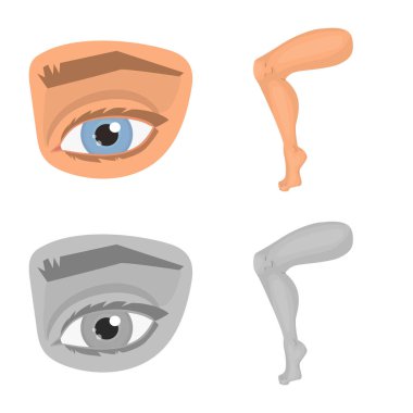 Vektör tasarımı bölümü ve vücut sembolü. Vücut ve anatomi hisse senedi vektör çizim topluluğu.