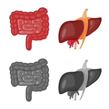 Biyoloji ve bilimsel simge vektör çizimi. Biyoloji ve laboratuvar hisse senedi simgesi için web topluluğu.