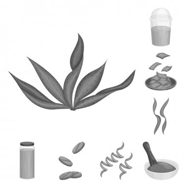 Bitki ve weed simgesinin vektör tasarımı. Web için bitki ve deniz stok sembolü seti.