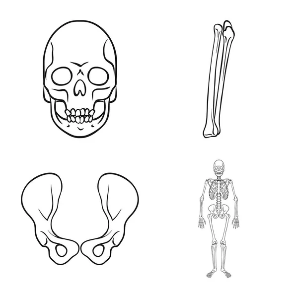 Diseño vectorial del icono de la medicina y la clínica. Colección de medicina y material médico símbolo para la web . — Vector de stock