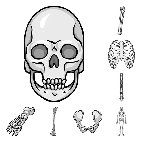 Projeto vetorial de biologia e logotipo médico. Conjunto de biologia e esqueleto vetor ícone para estoque . — Vetor de Stock