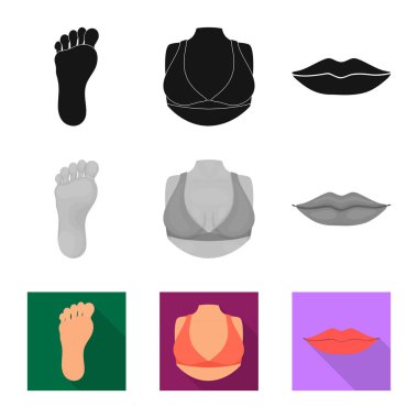 Vektör tasarımı bölümü ve vücut sembolü. Vücut ve anatomi hisse senedi vektör çizim seti.