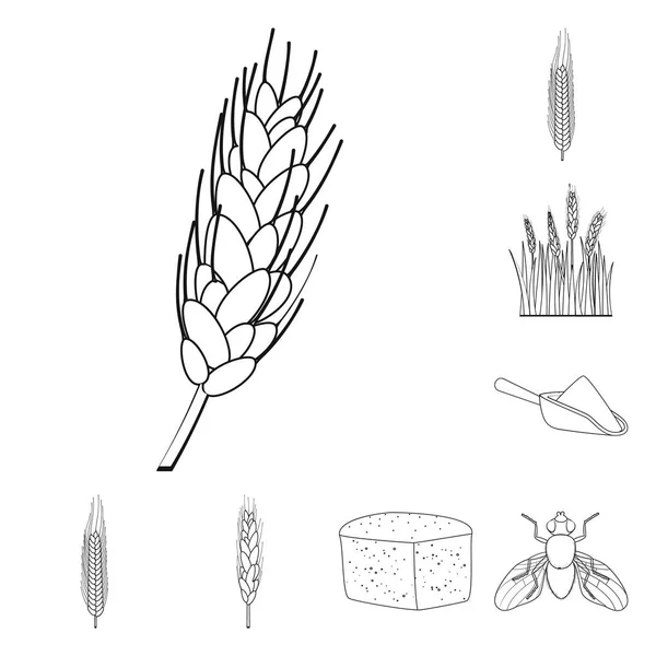 Isolado objeto de agricultura e ícone agrícola. Conjunto de símbolos de plantas e agricultura para web . — Vetor de Stock