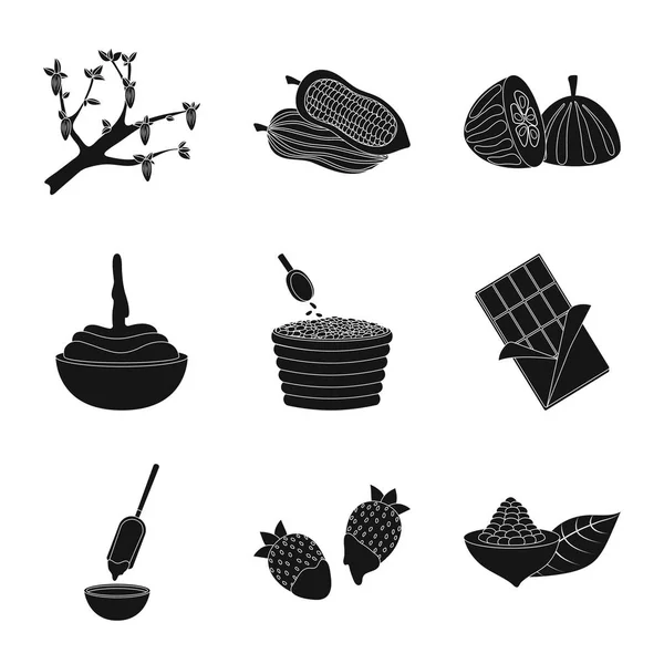 Diseño vectorial de cocina y logo marrón. Conjunto de cocina y frijoles vector de la ilustración . — Archivo Imágenes Vectoriales
