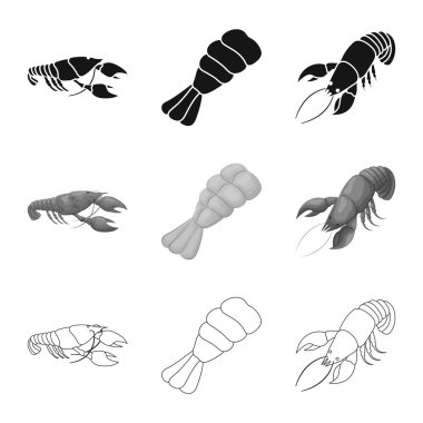 Meze ve okyanus logosu yalıtılmış nesne. Meze ve incelik hisse senedi vektör çizim topluluğu.