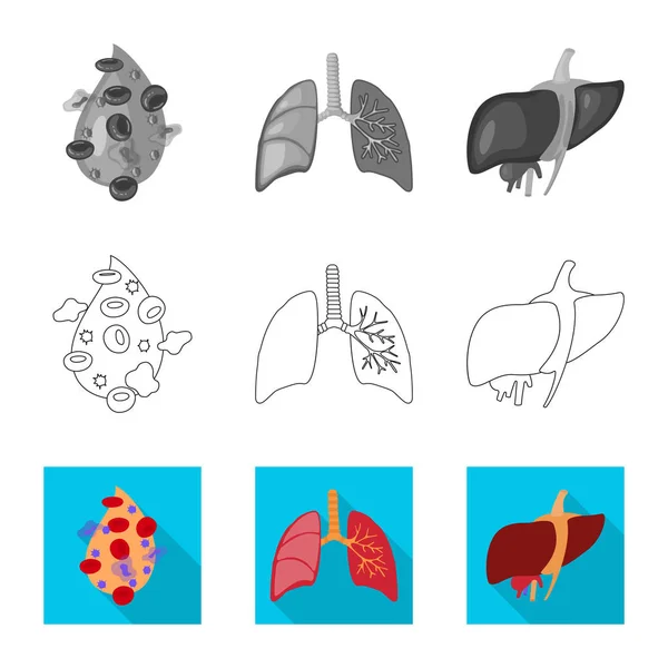 Ilustração vetorial da biologia e ícone científico. Conjunto de biologia e ícone de vetor de laboratório para estoque . — Vetor de Stock