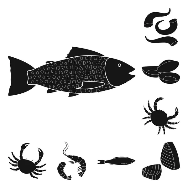 Ilustración vectorial de mercado e icono marino. Colección de ilustración vectorial del mercado y del mar . — Vector de stock