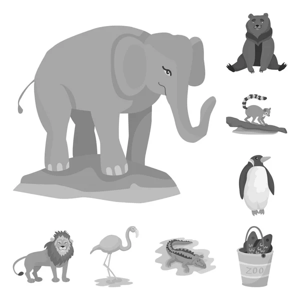 Elkülönített objektum Állatkert és park jelképe. Állatkert és állatok tőzsdei szimbólum a web gyűjteménye. — Stock Vector