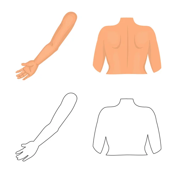 Geïsoleerde object van lichaam en deel symbool. Collectie van lichaam en anatomie vector pictogram voor voorraad. — Stockvector