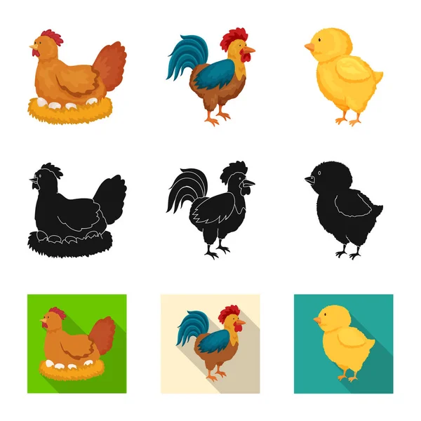 Illustration vectorielle de l'élevage et symbole de cuisine. Collection de symboles d'élevage et de stock biologique pour la toile . — Image vectorielle