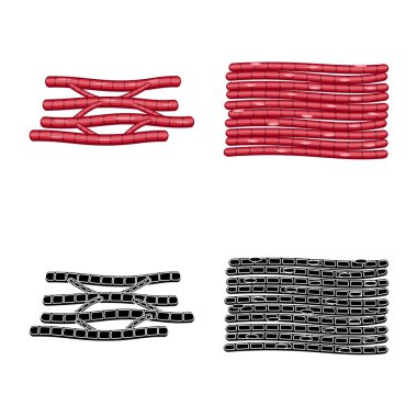 Lif ve kas logo vektör tasarımı. Set elyaf ve vücut hisse senedi vektör çizim.