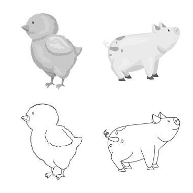 Üreme ve mutfak simge vektör Illustration. Koleksiyon ıslahının ve web için organik hisse senedi simgesi.