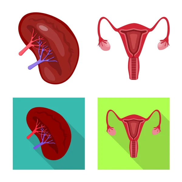 Isoliertes Objekt der Biologie und wissenschaftliches Logo. Sammlung von Biologie und Laborvektorsymbol für Aktien. — Stockvektor