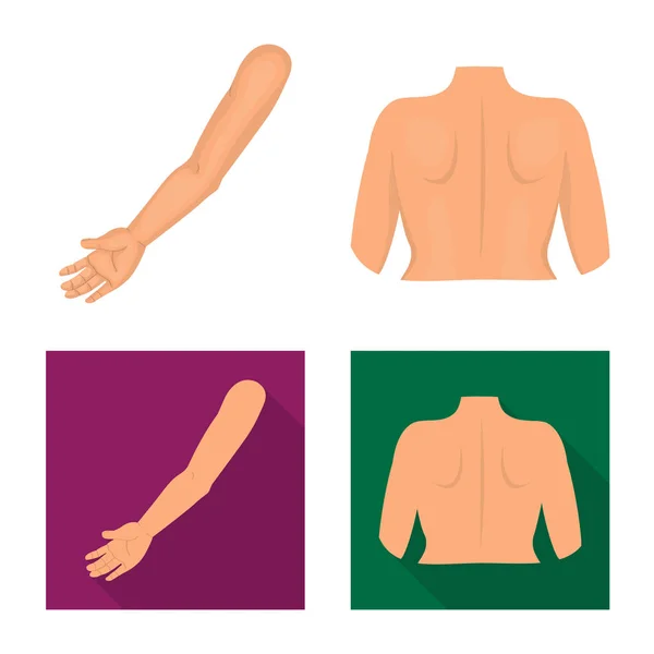 Ilustração vetorial do corpo e símbolo da parte. Conjunto de corpo e anatomia vetor ícone para estoque . — Vetor de Stock