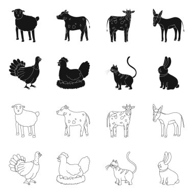 Üreme ve mutfak simge vektör Illustration. Koleksiyon ıslahının ve organik hisse senedi vektör çizim.